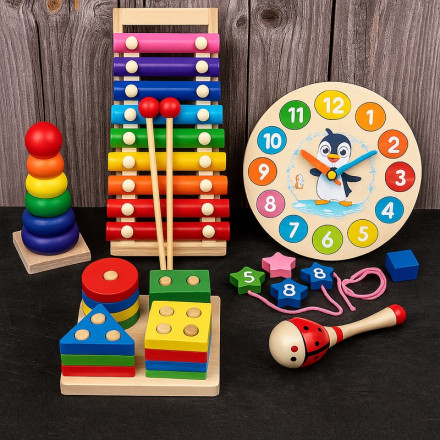 Развивающий набор деревянных игрушек «Радужный оркестр и счёт»