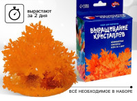 Выращивание кристаллов «Опыты. Лучистые кристаллы», цвет оранжевый