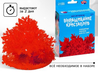 Выращивание кристаллов «Опыты. Лучистый кристалл», цвет красный. Уценка (помята упаковка)