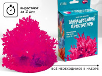 Выращивание кристаллов «Опыты. Лучистый кристалл», цвет малиновый