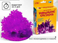 Выращивание кристаллов «Опыты. Лучистый кристалл», цвет фиолетовый