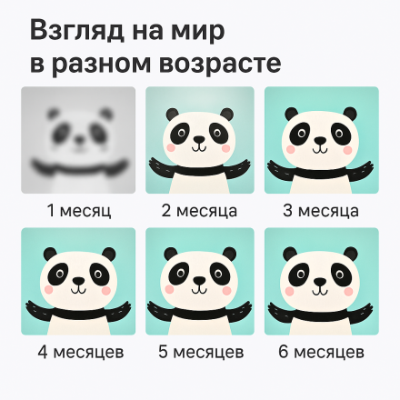 Обучающие карточки "Multicolor & Visual Card" для развития восприятия цвета (6–12 месяцев, 20 цветных карт)