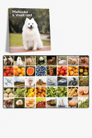 Обучающие карточки "Multicolor & Visual Card" с фотографиями животных, транспорта, овощей и фруктов
