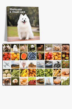 Обучающие карточки "Multicolor & Visual Card" с фотографиями животных, транспорта, овощей и фруктов