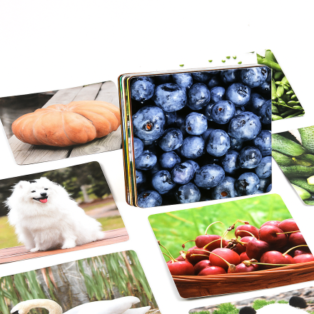 Обучающие карточки "Multicolor & Visual Card" с фотографиями животных, транспорта, овощей и фруктов