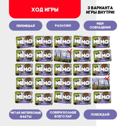 Мемо «Растения»