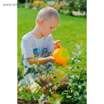 Лейка, 0.55 л, без рассеивателя, «Тыква»