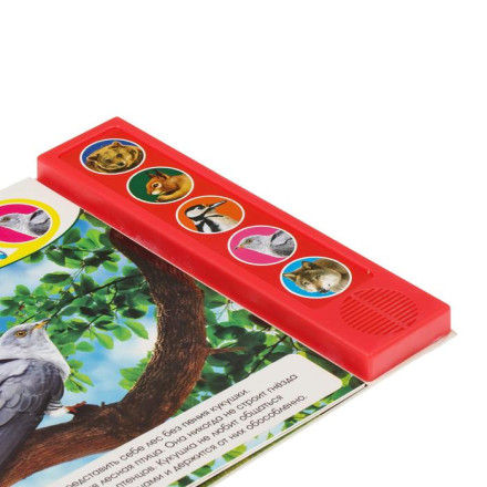 Музыкальная книга «Звуки леса»