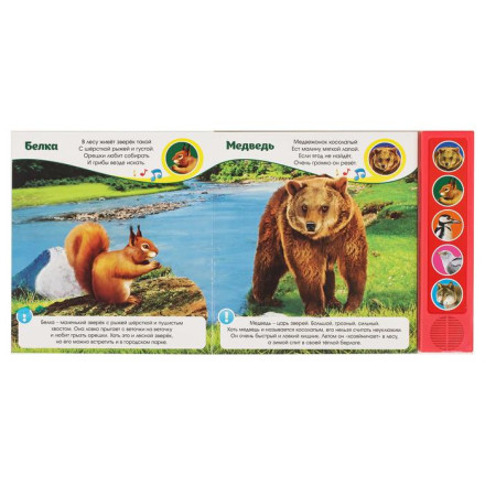 Музыкальная книга «Звуки леса»