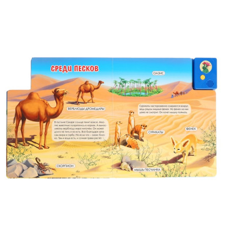 Книга музыкальная «Чей дом саванна и пустыня»