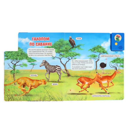 Книга музыкальная «Чей дом саванна и пустыня»